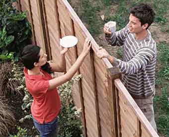 Бизга нима бўлди?..