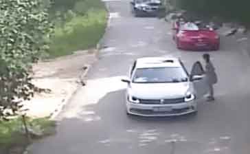 Йўлбарс ҳужумига учради