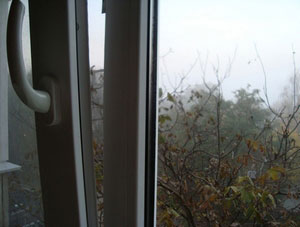 ДЕРАЗА  ОЙНАСИ  «ТЕРЛАСА»,