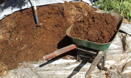 МЎЛ ҲОСИЛ КЕРАКМИ?