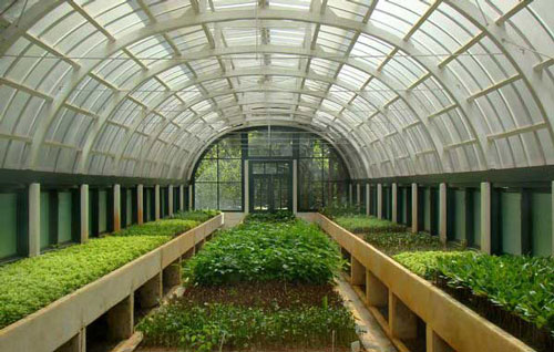 КЎЧАТДАН УРУҒ МУҲИМ