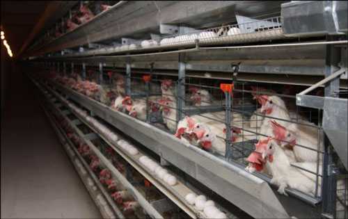 ИМКОНИЯТДАН УНУМЛИ ФОЙДАЛАНИБ