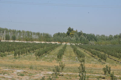 ТАДБИРКОРЛИК ҚИЛА ОЛАСИЗМИ?