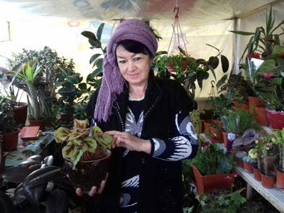 ГУЛНИ ПУЛГА АЙЛАНТИРИНГ