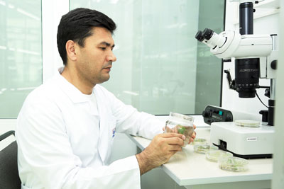 ҒЎЗАДАН ИККИНЧИ «ОЛТИН» ОЛИНАДИ...