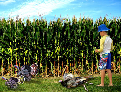 ҲАЛОЛ ЛУҚМА