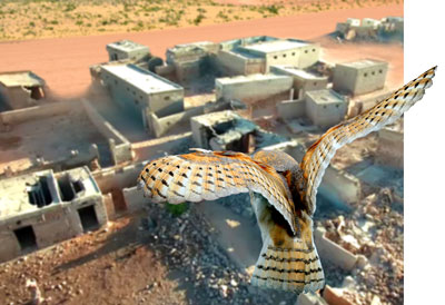 БОЙЎҒЛИ МАКОН ТУТГАН ХАРОБАЛАР