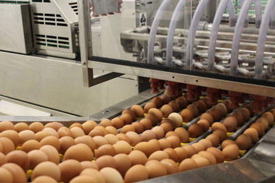 ТОШЛОҚ  АДИРЛАРДАГИ  ХАЗИНА