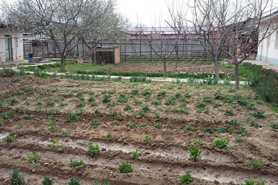 ЭШИК ОЛДИГА КЎМИЛГАН ХАЗИНА