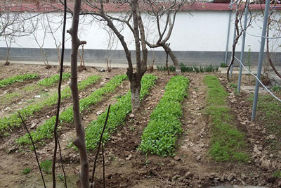 Ҳам даромад, ҳам тарбия