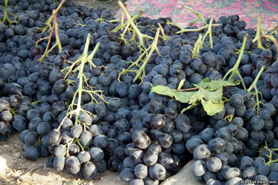 Чарчоқларни йўқотадиган даромад қанча?