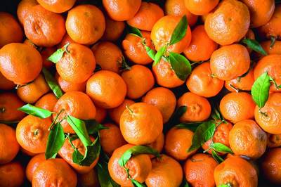 Хитой олмаси