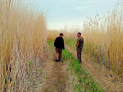 Қорақалпоқ мўъжизаси:  Борсакелмасдан  Қоплонқиргача