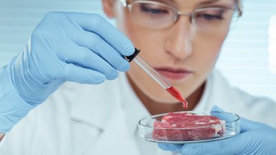 «Сунъий» гўшт истеъмоли  ўрмонлар кесилиш даражасини икки баравар камайтирадими?