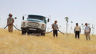 Баҳорги кўчатлар  саратон синовидан  қандай ўтмоқда?