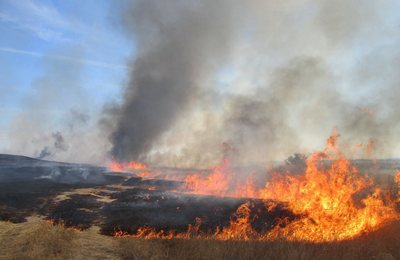 Фойда бермаётган  жарима,  ёқилаётган сомонпоя,  кенгаяётган табиий ҳудуд...