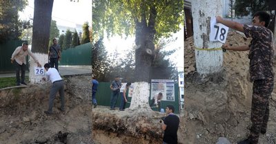 Табиат  бизни  кутиб турмайди