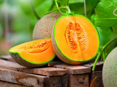 Қовуннинг  фойдали  хусусиятлари