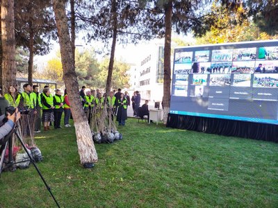 Ҳавас билан экилаётган ниҳоллар