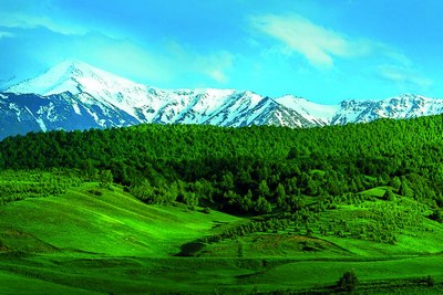 Экологик хавфсизлик –  инсоният келажагига  дахлдор масала