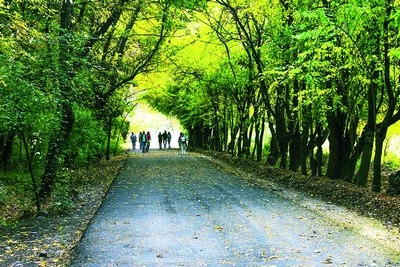 Ботаника боғи  бизнесга  тикилмаслиги  керак!