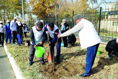«Яшил  макон»  умуммиллий лойиҳасига старт берилди