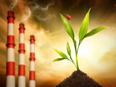 Бир йилда 6,5 минг  экологик  қоидабузарлик