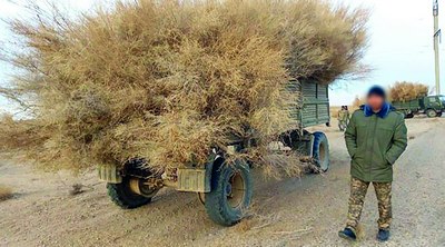 Жамиятнинг тўғри  йўли учун компас