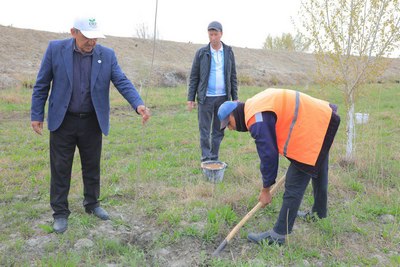 Йўл бўйларида боғлар