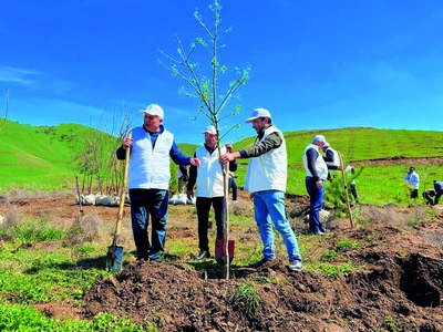 Экопартия депутатлари  кўчат экишди