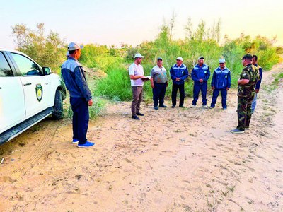 Хоразмда  Чигирткаларга  қарши кураш    давом этяпти