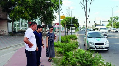 Жазирамада  дарахтлар қуриб  қолаверадими?