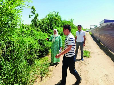 «Яшил макон»:  Хоразмда нима гаплар?