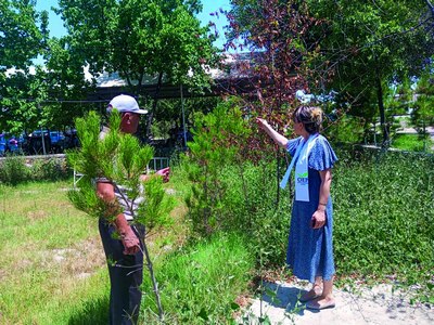 Бир ҳафтадан сўнг яна қайтамиз