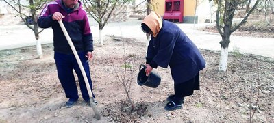 Томорқага  сув бормаяпти, нега?..