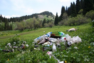 Табиат қўйнида меҳмон бўлиб, қайтишда  хиёнат  қилаётганлар