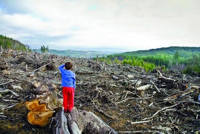 Ер юзида  ҳар сонияда  1,5 гектар  яшиллик нобуд бўлмоқда