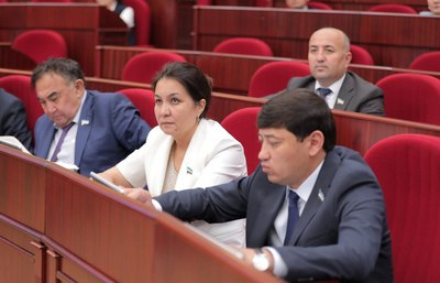 Ислоҳотлар ва  парламент назорати:  Қуйи палатадаги муҳокамалар  таҳлили