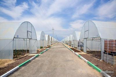 Барқарор ривожланиш:  Иссиқхона газлари  35 фоизга камайтирилади