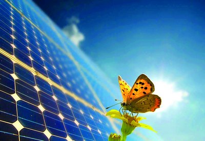 Қуёш электр станциялари  биологик хилма-хилликка  қандай таъсир қилади?