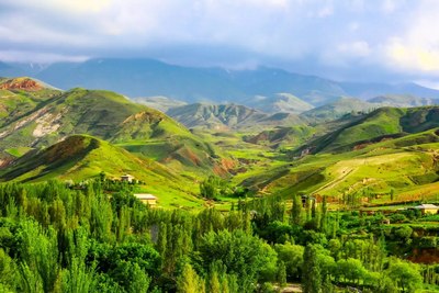 «Яшил замин яратувчилари» эко-марафони ўтказилади