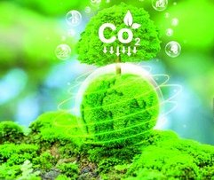 Иссиқхона газлари 50 фоизгача камайтирилади