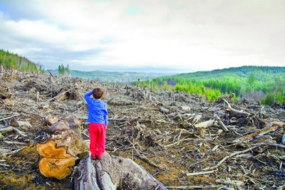 Ҳар йили  10,9 миллион  гектар ўрмон йўқолмоқда