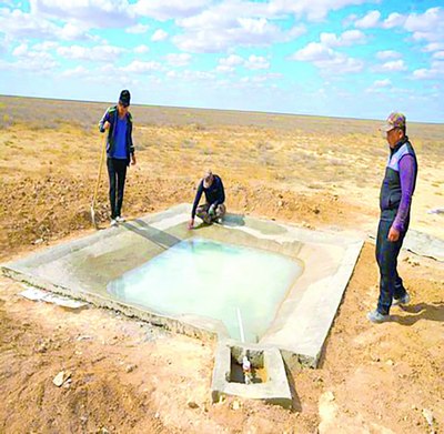 Ёввойи жонзотлар ҳам  меҳрга муҳтож