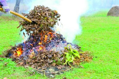 Эҳтиёт бўлинг, хазон билан бирга бутун  экотизим  ёнади