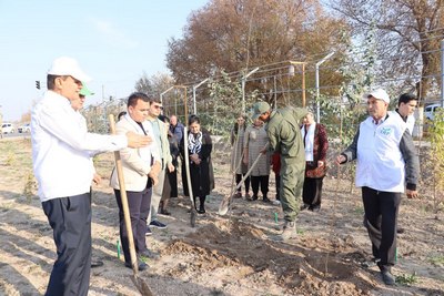 Масъулият  ва бурч