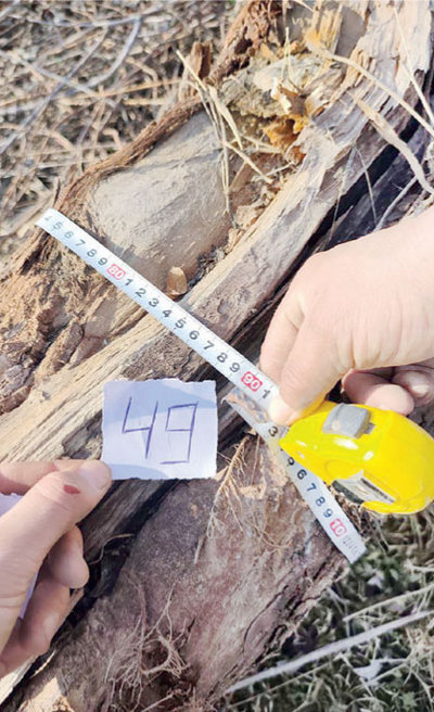 Оҳангаронда табиатга 1,5 миллиард  сўмлик зарар етказилди