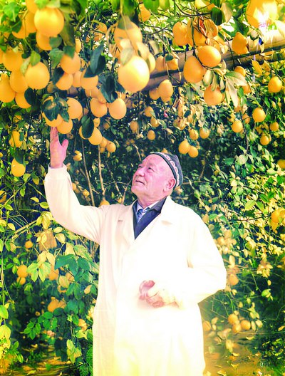 &laquo;Ўзбекистонда лимон  етиштириш бутунлай имконсиз...&raquo;