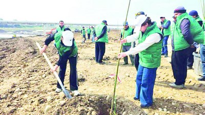 Улкан мегаполиснинг  &laquo;яшил ўпкаси&raquo;