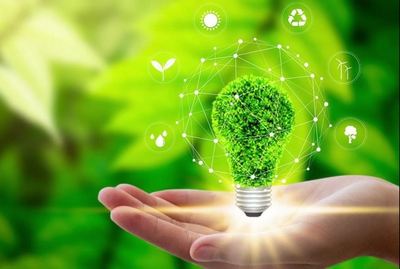 Экoлoгик ҳуқуқ  мактабини яратган олим